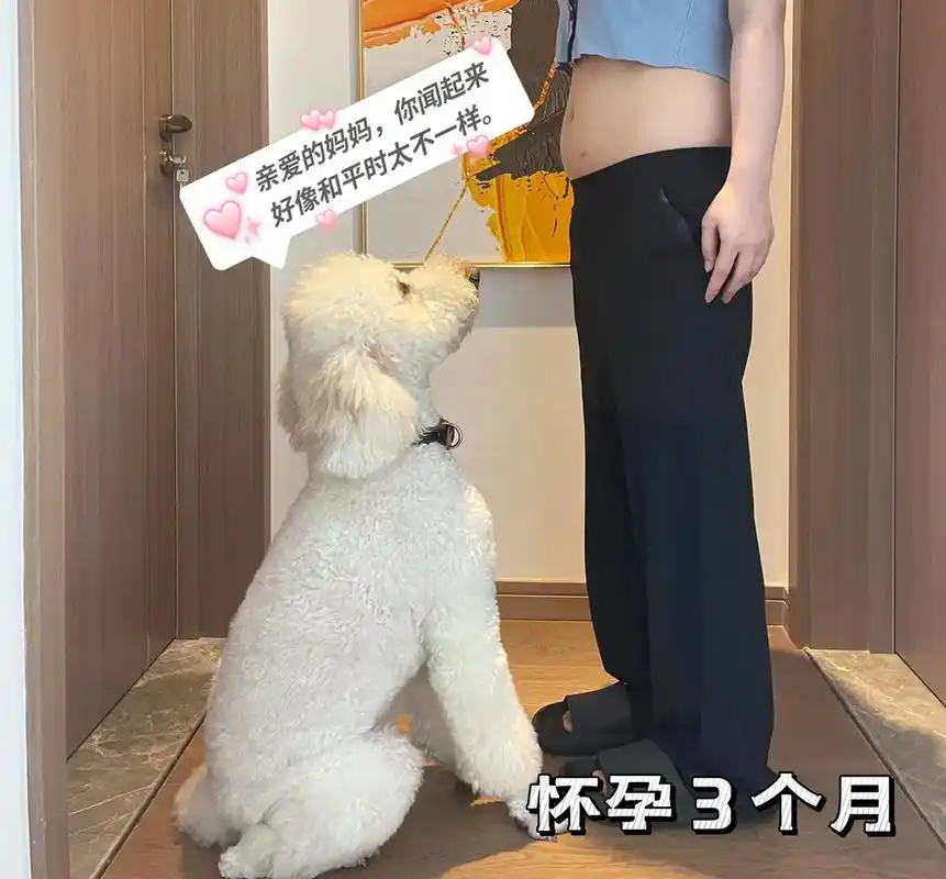 谁说狗狗与孩子不能一起养?