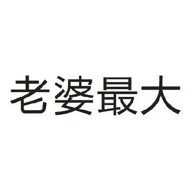 老婆最大_企业商标大全_商标信息查询_爱企查