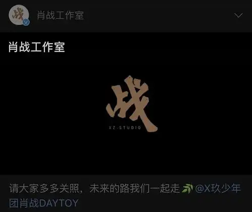 据各媒体说,logo是肖战亲自设计—————赞最赞回应