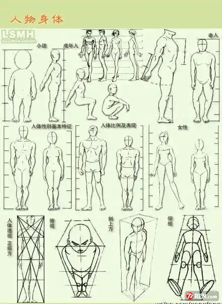 我就是学美术的  首先要掌握 人物的头身比例  之
