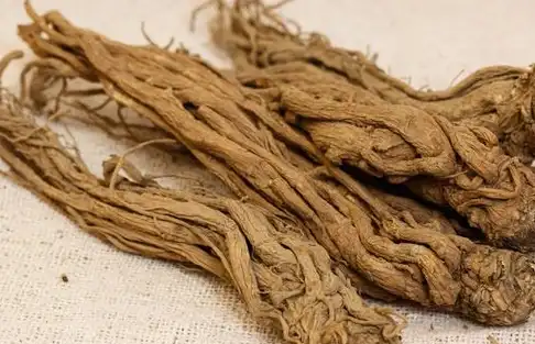 这3种方法用当归,受益