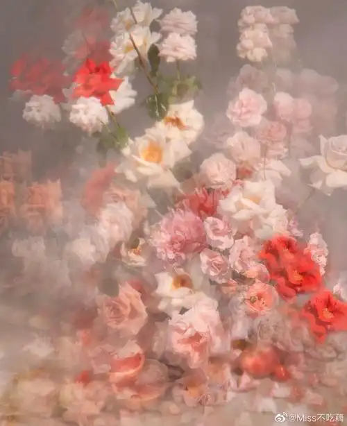 分享一组花朵壁纸背景图,复古油画色调9615点仙er,像童话里的