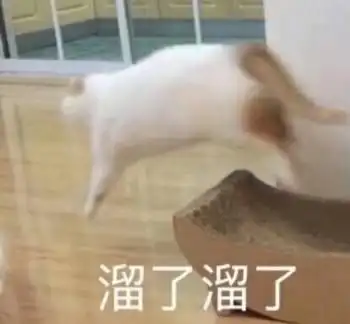 溜了溜了(猫咪)_猫咪表情