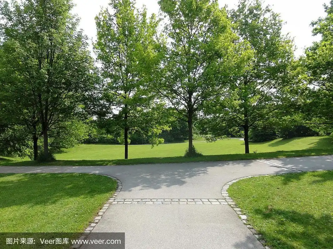 绿色的草和树与人行道