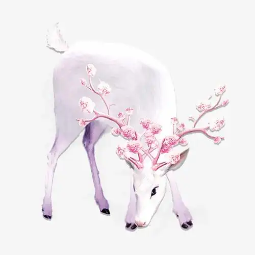 白色梅花鹿素材下载