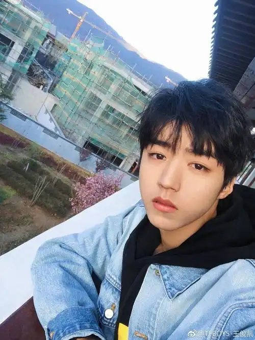 jms你们觉得明星扇形双眼皮好看,还是大平行好看啊!