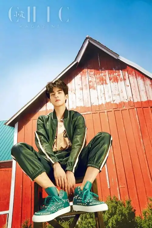 宋威龙星途始呈未来可期