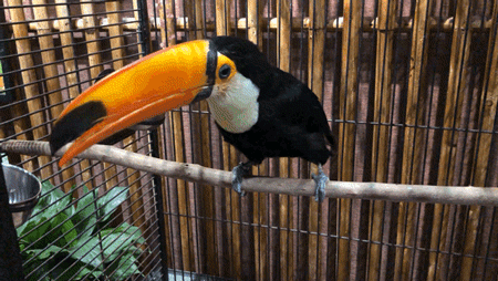 小姐姐快放下那个奶一不小心被审核吃了的动态图