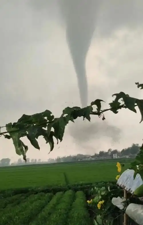 突发龙卷风!致2人死亡