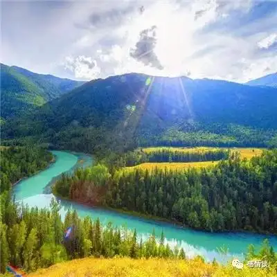 有财气又吉利的微信头像图片 给你好运!