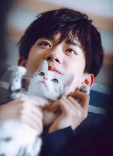 日前,有营销号分享了一组像易烊千玺的猫的照片,网友直呼太可爱了