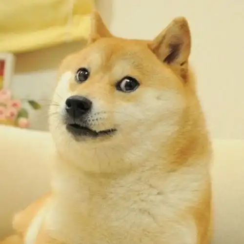 要搞笑的那种.一看就能笑出来的逗比头像.一定要高清的.