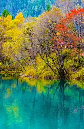 本篇选取2020年度拍摄的60余张照片,权作总结与汇报.