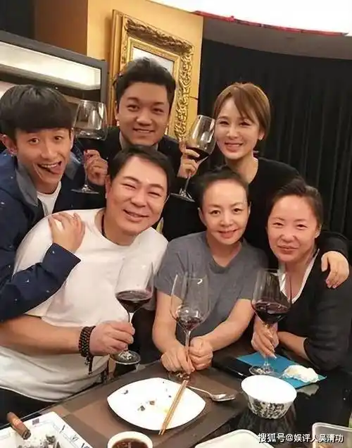 高亚麟出轨,《家有儿女》的杨紫,张一山,宋丹丹的评论区太好玩