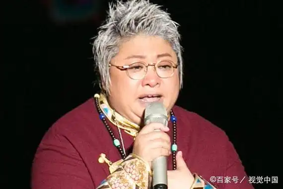 韩红曾说职业歌手唱不下来别开演唱会没能力就别捞钱