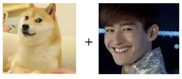 7315随着doge的爆红,其他柴犬也得到了越来越多的关注,而柴犬最得