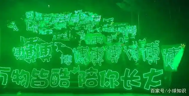 而现场也是全部都是绿色,绿色作为王一博的应援色也是遍布满场