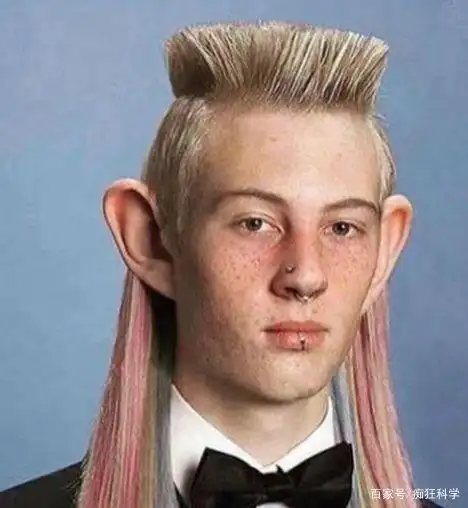 一组搞笑的创意发型设计,头发弄成这样还敢出门么?