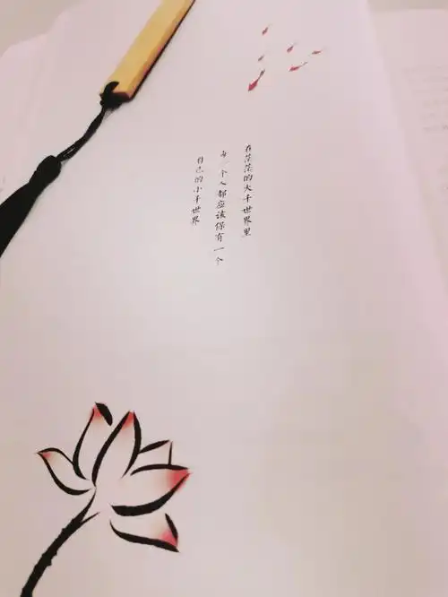 治愈书籍让一颗躁动的心沉静下来