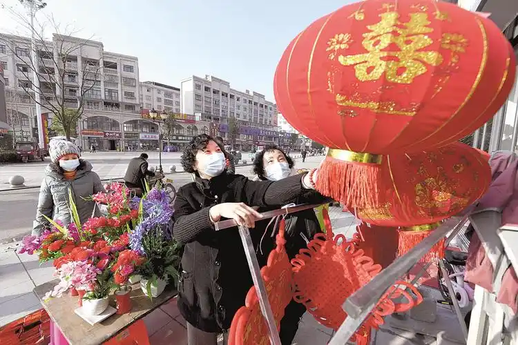 苏马荡候鸟就地过年