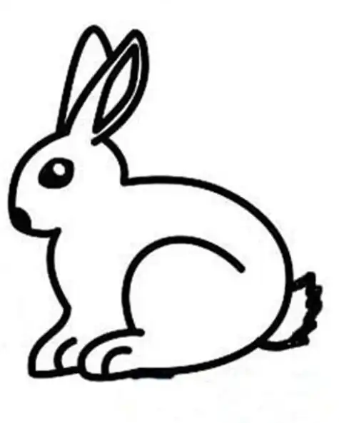 简笔画动物兔子简单画法步骤图