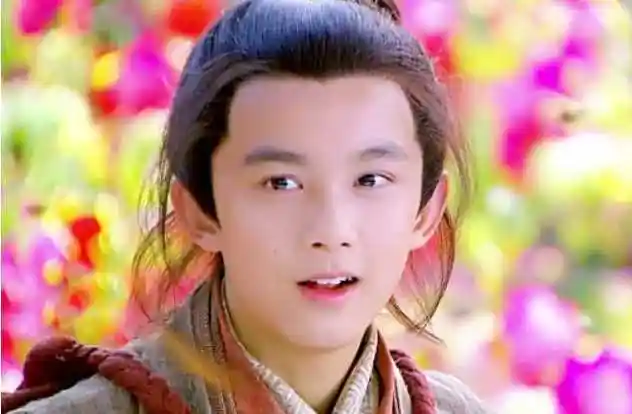 神雕侠侣陈晓版演员表杨过小时候是谁演的