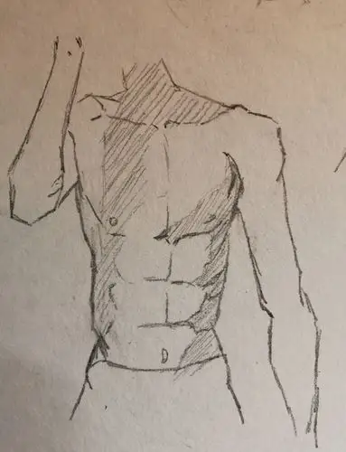 照着人体素材练习了一下腹肌,这个身材可真棒,但是其它角度的好难画啊