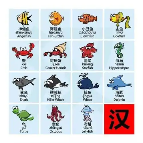 1分钟教会你记住所有常见海洋生物的英语名字!