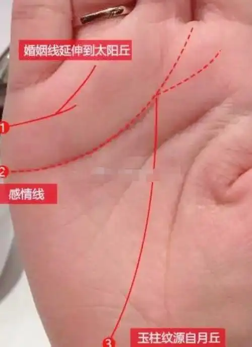 感情线末端分叉(感情线末端分叉像羽毛)