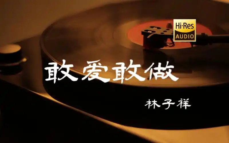 敢爱敢做 - 林子祥【hi-res无损音质】-lionlionxn-可以放的💞-哔哩