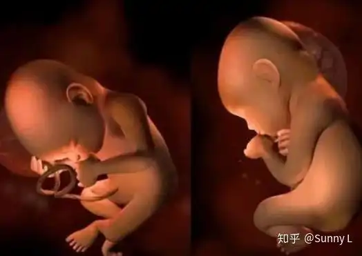 孕晚期若出现这3种变化恭喜你胎儿入盆了坐等卸货吧