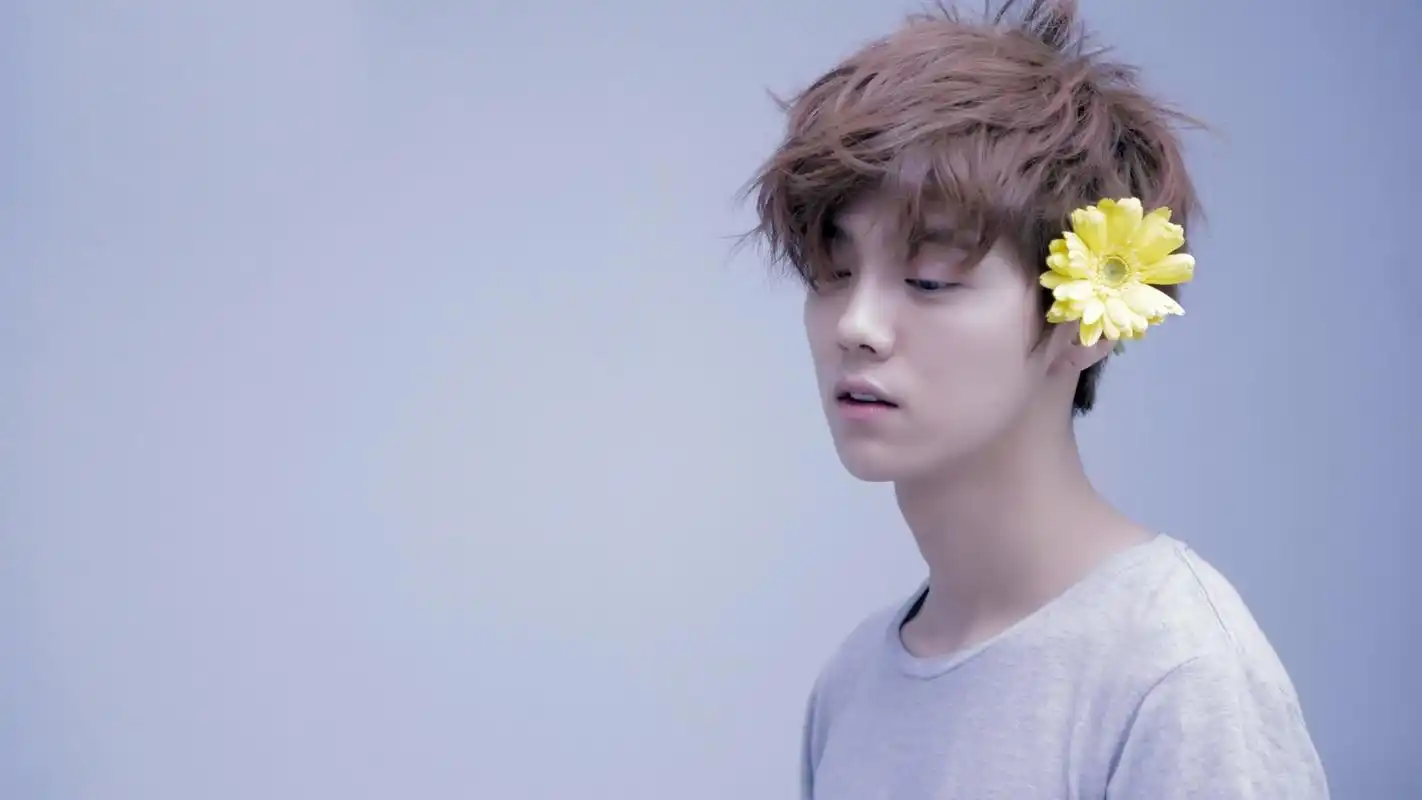 鹿晗《甜蜜蜜》mv帅气桌面壁纸