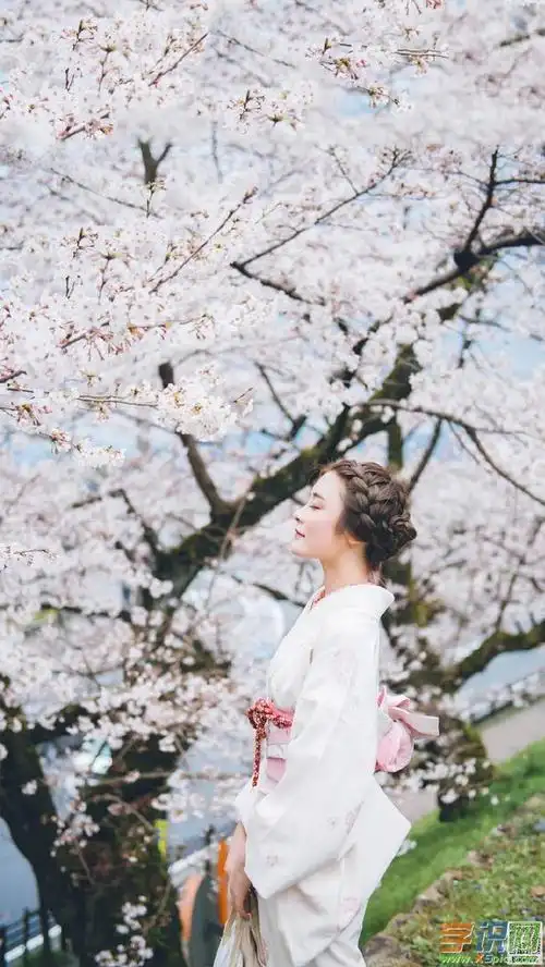 手机可爱壁纸美女图片