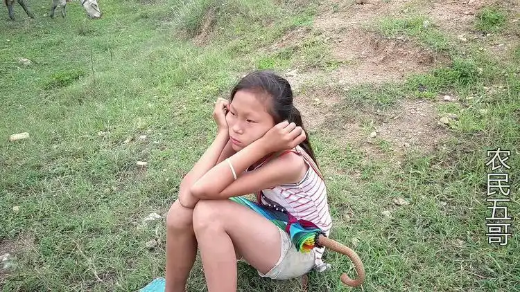 农村12岁女孩,为何独自在家放7头牛5只羊?女孩一番话听得人心酸