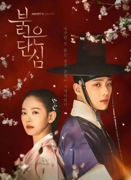 古装韩剧《红丹心》剧情看点,宫廷斗争下的虐心爱恋_李准_国王_政敌