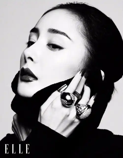 杨幂elle十二月刊封面释出 御姐黑白质感大片