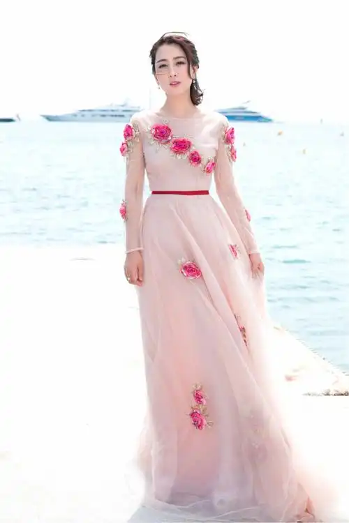 71届戛纳电影节,红毯明星礼服