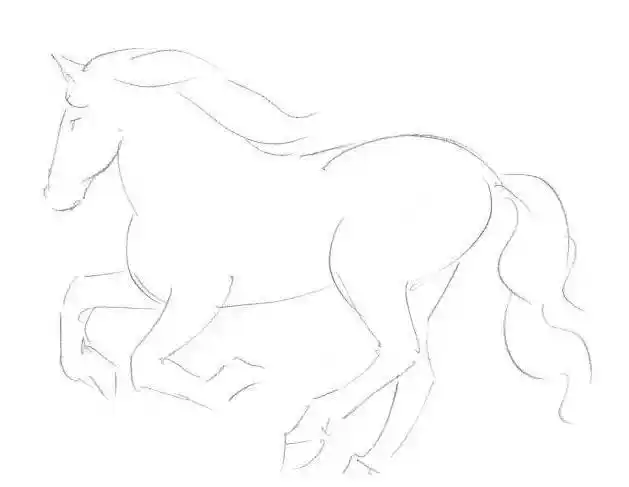素描马的画法