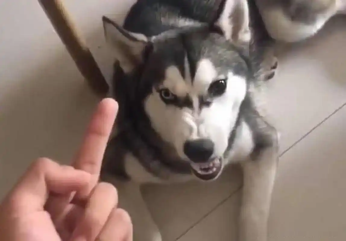 开始没太在意,关键开始我也不知道现在比中指是