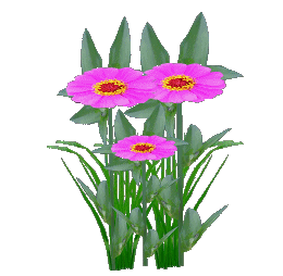 透明gif格式花草素材(新制01)