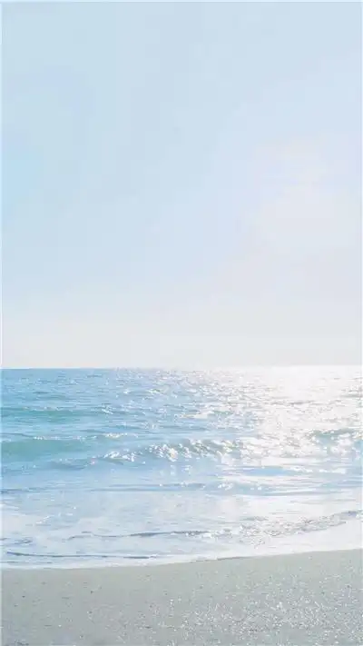 春游高清手机壁纸清新迷人的静物唯美意境图片赏析我放弃过很多事情