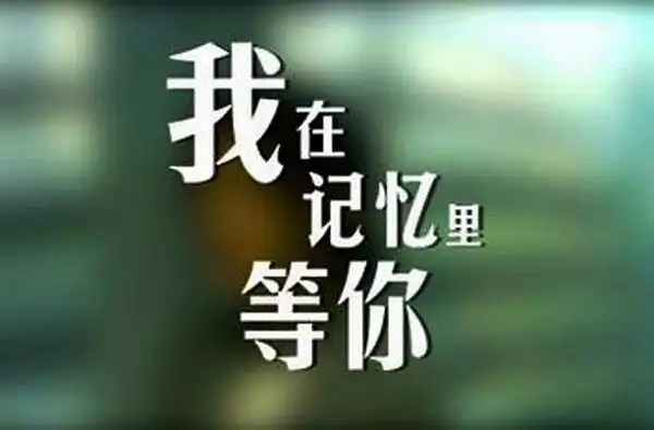 我在记忆里等你