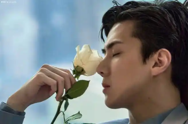 生日快乐##吴世勋中国杂志销量韩娱第一#@wu世勋-exo那年今日|200407