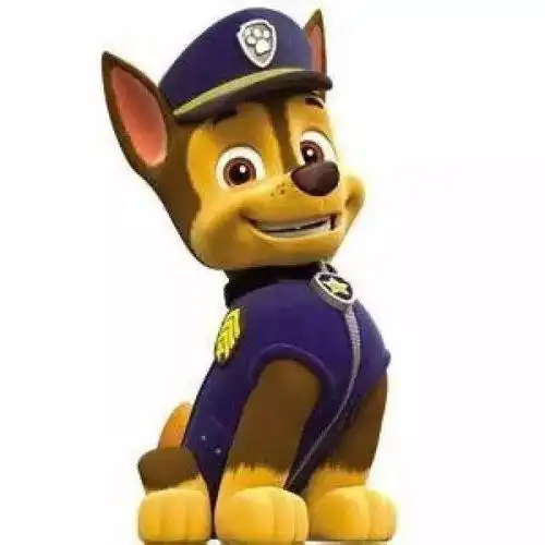 盼望着,盼望着,《汪汪队立大功》舞台剧终于来闵行啦!_阿奇