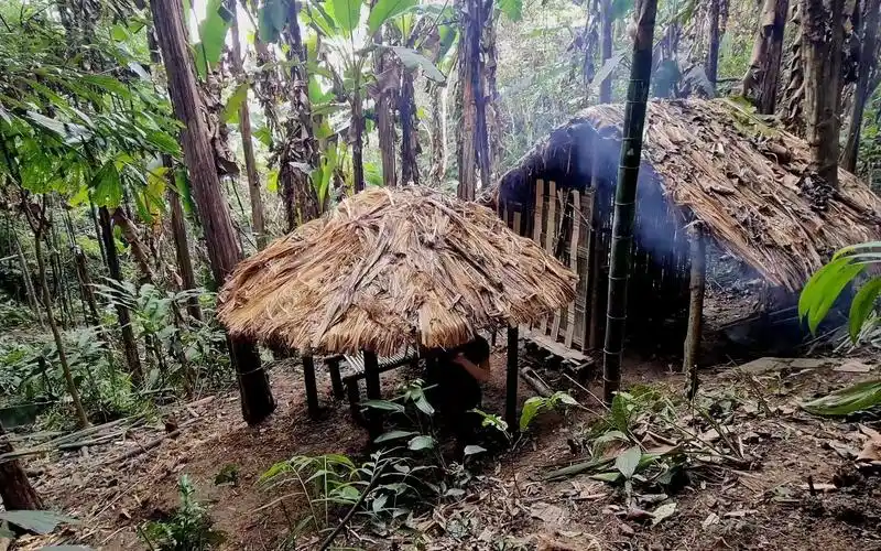 金刚亚马逊原始丛林生存第76集生存本能荒野孤独