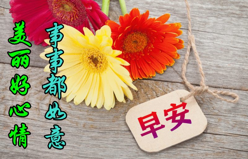 7张秋日最新特漂亮早上好鲜花图片带祝福语 2021最美秋日早安问候祝福