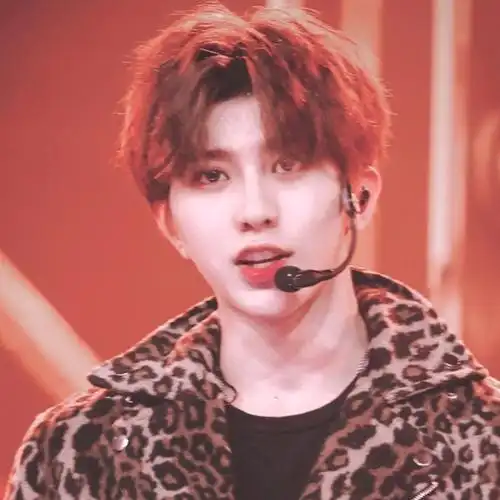 蔡徐坤头像 顺毛小坤/徐之