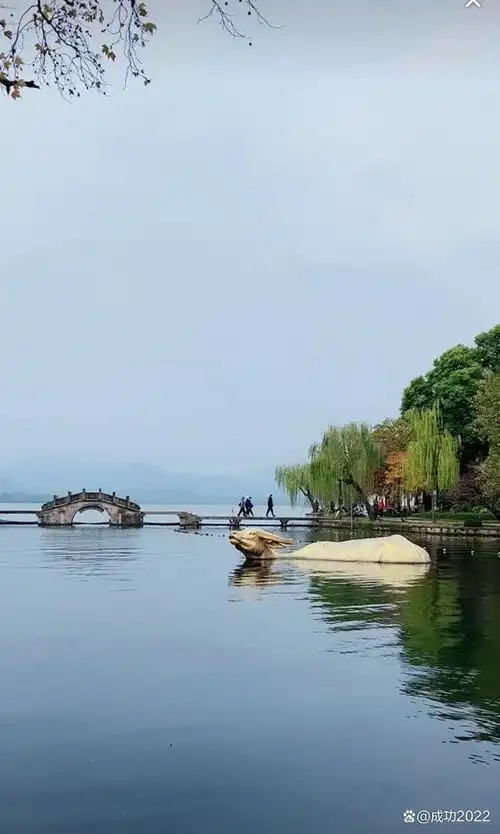祖国美景风光秀 ‖杭州西湖之美,美在湖光山色如诗如画