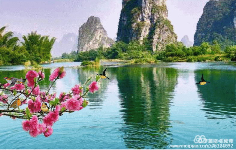 美篇专用花动图第二册(值得收藏)