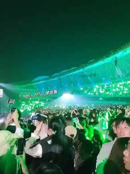 湖南卫视跨年晚会##王一博粉丝跨年绿海应援